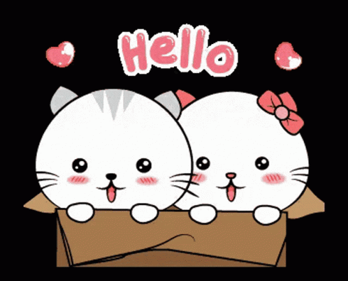 Two Cartoon Cats In Cardboard Box With Hello GIF