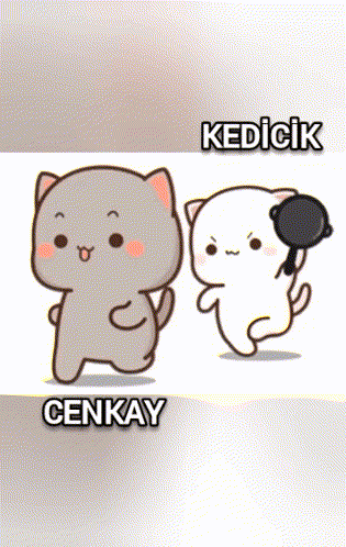 Two Cartoon Cats Named Cenkay And Kedicik GIF