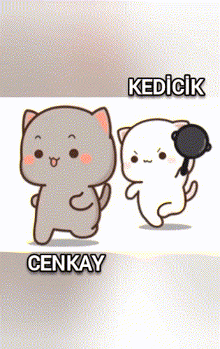 Two Cartoon Cats With Cenkay GIF
