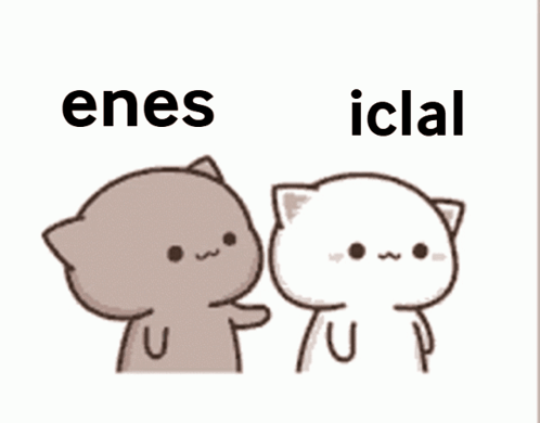 Two Cartoon Cats with Enes Iclal