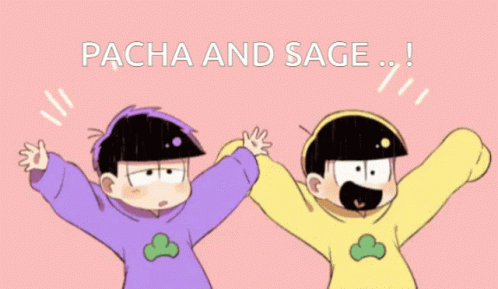 two cartoon characters are standing next to each other and the words pacha and sage are above them