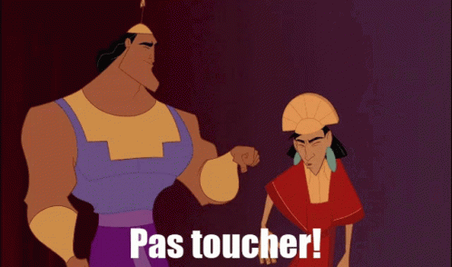 Two Cartoon Characters Standing Next To Each Other With The Words Pas Toucher In The Corner GIF