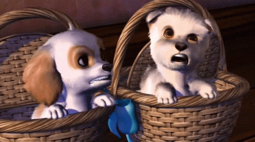Two Cartoon Dogs Are Sitting In Wicker Baskets With A Blue Bow GIF