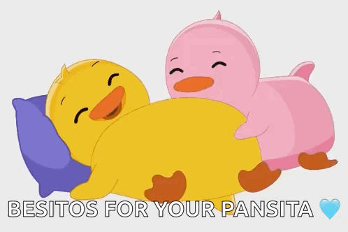 Two Cartoon Ducks Besos For Your Pansita GIF