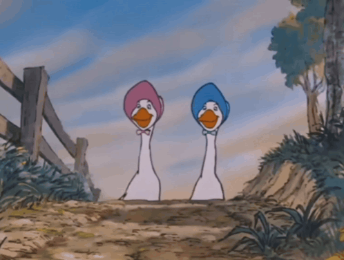 Two Cartoon Ducks Wearing Pink And Blue Hats Standing Next To Each Other GIF