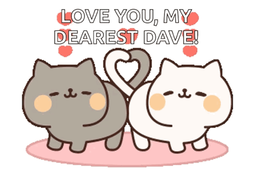 Two Cats Are Making A Heart Shape With Their Tail And The Words Love You My Dearest Dave GIF