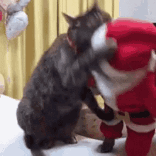 Two Cats Are Playing With Each Other And One Is Wearing A Santa Suit . GIF