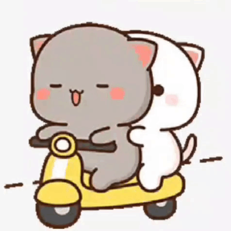 Two Cats Are Riding A Scooter Together . GIF