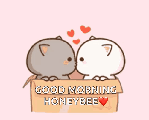 Two Cats Are Sitting In A Box With The Words Good Morning Honeybee Above Them GIF