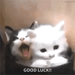 Two Cats Are Sitting Next To Each Other With Their Mouths Open And The Words `` Good Luck '' Written On The Bottom . GIF