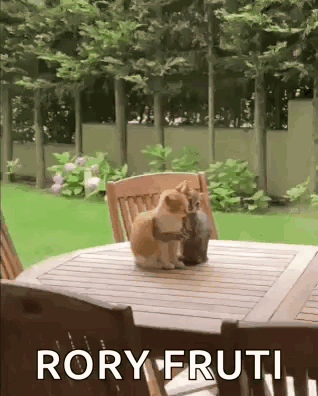 two cats are sitting on a wooden table with the words rory fruti written below them