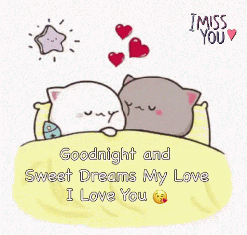 two cats are sleeping in a bed with hearts flying around them and the words `` goodnight and sweet dreams my love i love