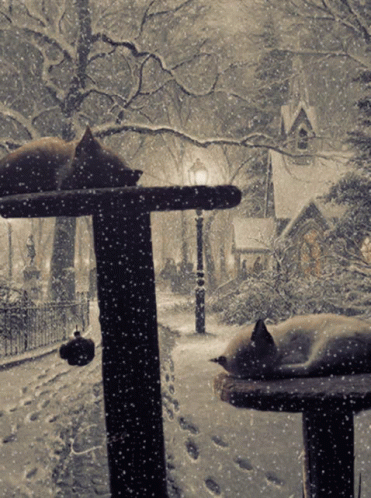 Two Cats Are Sleeping In The Snow On A Fence Post GIF