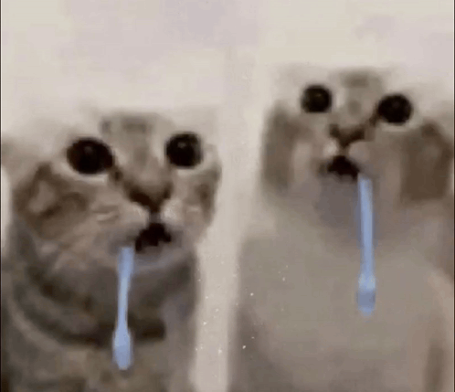 Two Cats Are Standing Next To Each Other With Their Mouths Open And Tears Coming Out Of Them . GIF