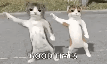 Two Cats Dancing on Street Saying Good Times