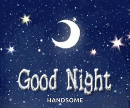 Two Cats Good Night Sweet Dreams Xoxo Muah Babe GIF