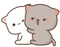 Two Cats Hugging