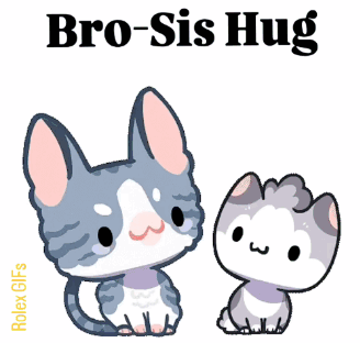 Two Cats Hugging Bro Sis