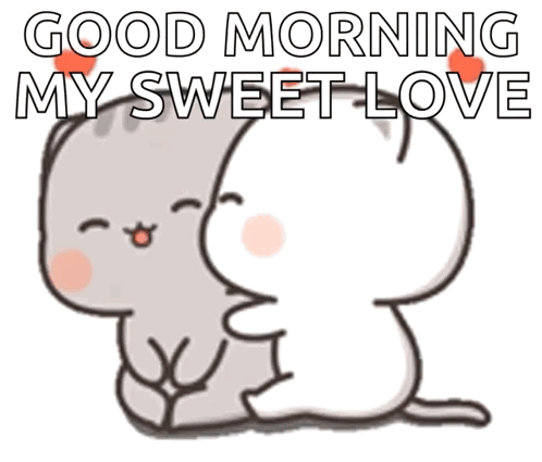 Two Cats Hugging Good Morning