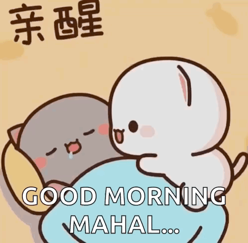 Two Cats Hugging Good Morning Mahal GIF