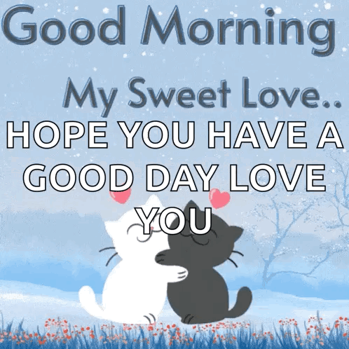 Two Cats Hugging Good Morning My Sweet Love
