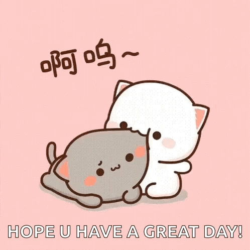 Two Cats Hugging Hope U Have A Great Day