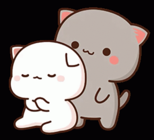 Two Cats Hugging GIF