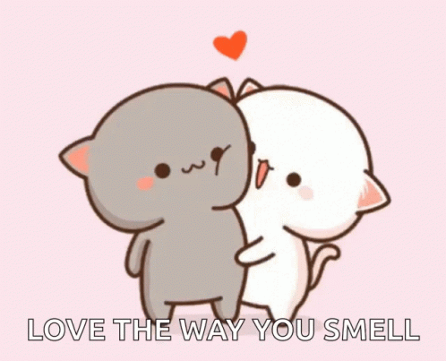 Two Cats Hugging Love The Way You Smell GIF