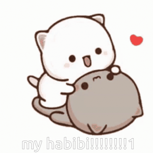 Two Cats Hugging My Habi !