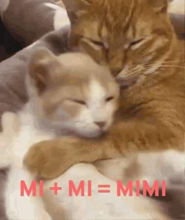Two Cats Hugging Red Mi + Mi = Mimi
