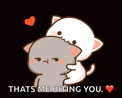 Two Cats Hugging Thats Me Biting You