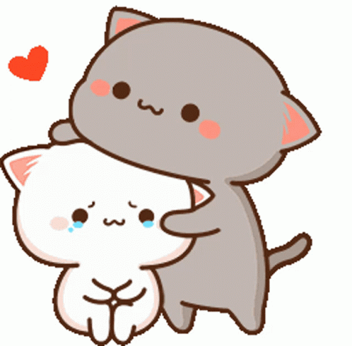 Two Cats Hugging With Heart