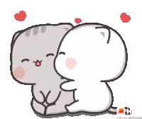 Two Cats Hugging With Hearts