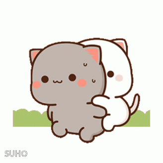 Two Cats Hugging With Suho GIF