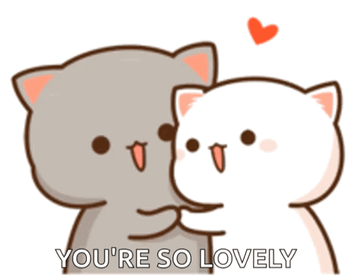Two Cats Hugging You're So Lovely