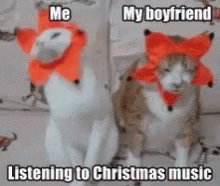 Two Cats in Christmas Hats Listening to Christmas Music