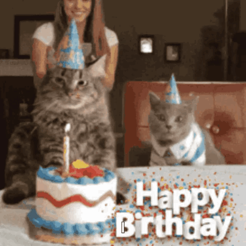 Two Cats In Party Hats Beside Birthday Cake GIF