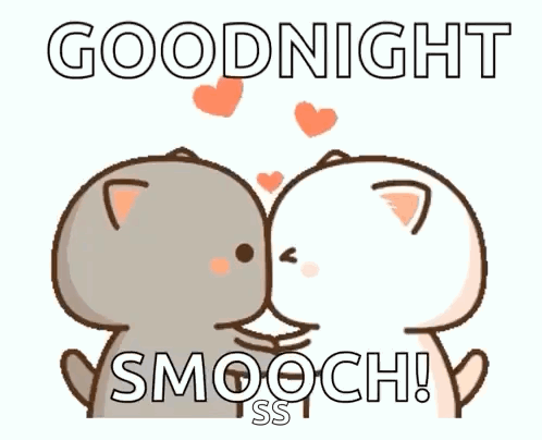 Two Cats Kissing Goodnight