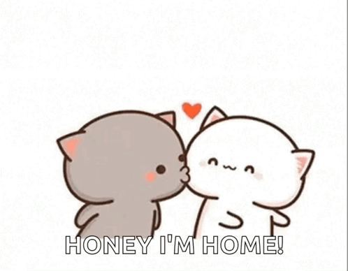 Two Cats Kissing with Flying Heart
