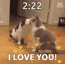 Two Cats Kissing With Hearts