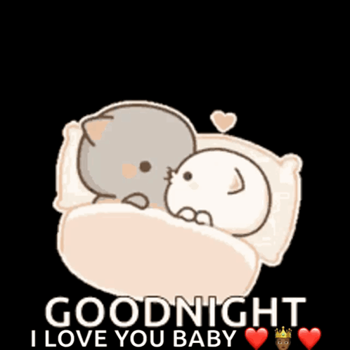 Two Cats Laying in Bed Goodnight I Love You Baby