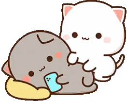 Two Cats Laying Next to Each Other