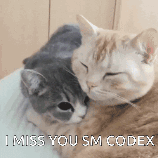 Two Cats Laying Next To Each Other With The Words " I Miss You Sm Codex " On The Bottom GIF