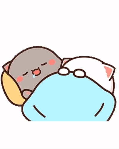 Two Cats Laying on Bed