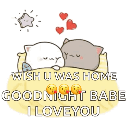 Two Cats Laying on Bed Wish U Was Home Goodnight Babe I Love You