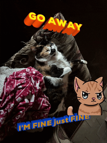 Two Cats Laying On Couch Go Away GIF