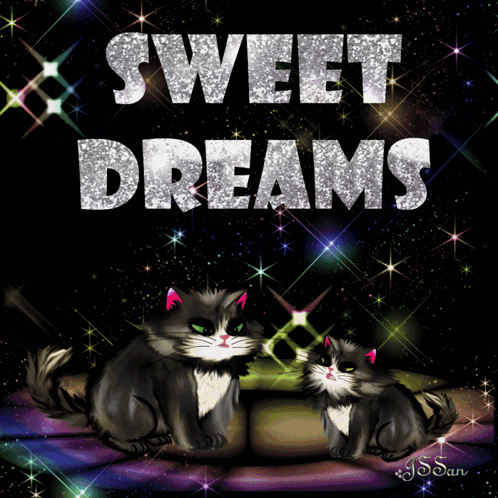 Two Cats Laying on Couch Sweet Dreams