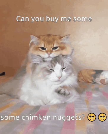 Two Cats Laying On Top Of Each Other Can You Buy Me Some Chimken Nuggets GIF
