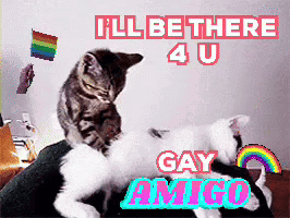 Two Cats Laying On Top Of Each Other With The Words " I 'Ll Be There 4 U Gay Amigo " Above Them GIF