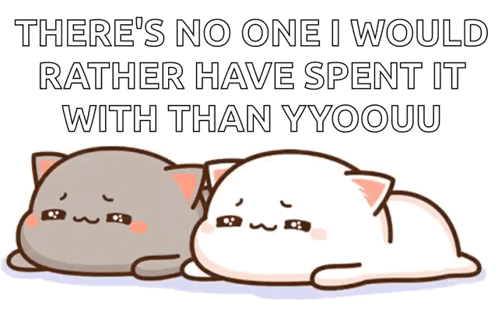 Two Cats Laying There's No One I Would Rather Have Spent It With